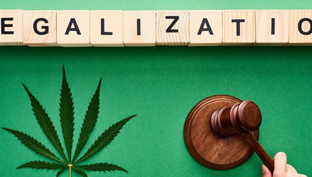 did cannabis legalization worsen marijuana addiction in canada